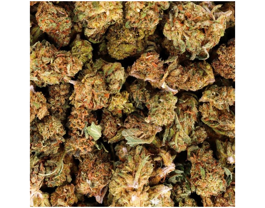 GrosBuzz.com | CBD Blumen Amnesia - Small Buds