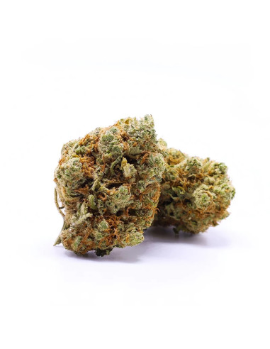 Acheter Skittlez Fleurs de CBD - Cannabis Indoor