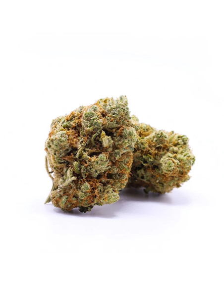 GrosBuzz.com | Skittlez CBD Flowers - Indoor Cannabis