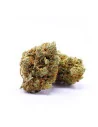 Kaufen Skittlez CBD Blumen - Indoor Cannabis, 