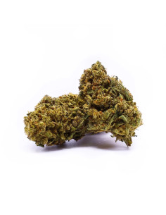 Acheter Sour Tangie Fleurs de CBD - Cannabis