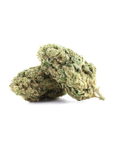 Acheter OG Kush Fleur de CBD - Cannabis Indoor, 
