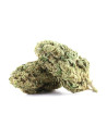 Kaufen OG Kush CBD Blumen - Indoor Cannabis, 