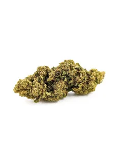 Kaufen Ice Cream Cookie CBD Blumen - Indoor