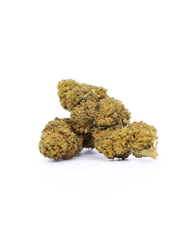 Acheter Amnesia Haze Fleurs de CBD - Cannabis