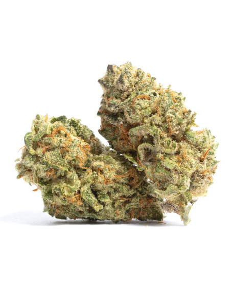 GrosBuzz.com | Flower Northern Lights GBZ 30%