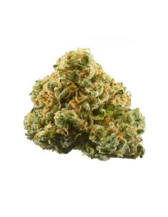 Buy Flower Super Lemon Haze GBZ 30%, GBZ, GBZ