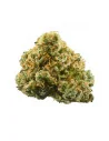 Buy Flower Super Lemon Haze GBZ 30%, GBZ, GBZ