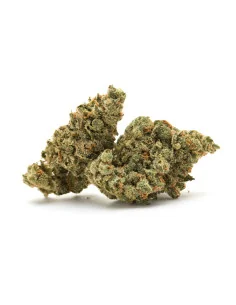 Kaufen Blumen White Widow GBZ 35%,