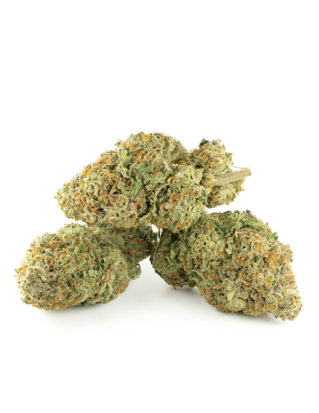 GrosBuzz.com | Premium Blumen Hawaiian Snow GBZ 45%