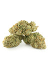 Buy Premium Flower Hawaiian Snow GBZ 45%,