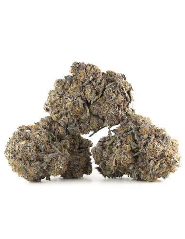 Buy Sour Tangie CBD Flowers - Indoor Cannabis, 