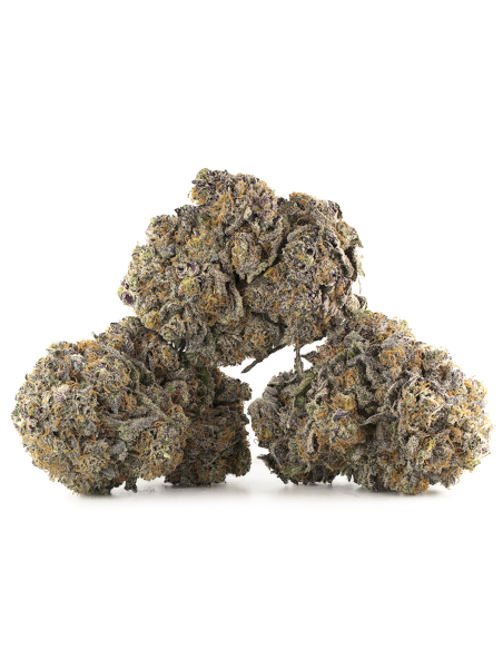 GrosBuzz.com | Sour Tangie CBD Flowers - Indoor Cannabis