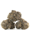 Kaufen Sour Tangie CBD Blumen - Indoor Cannabis, 