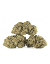 Kaufen Amnesia CBD Blumen - Indoor Cannabis,