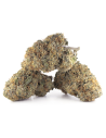 Kaufen OG Kush CBD Blumen - Indoor Cannabis, 