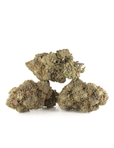 Buy Flower Super Lemon Haze GBZ 30%,  GBZ, GBZ