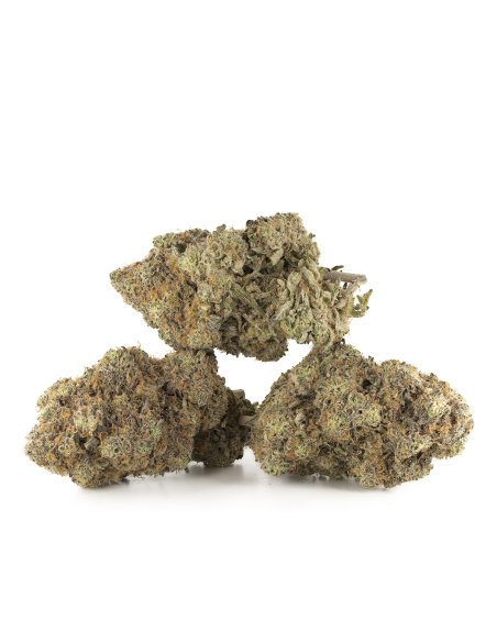 GrosBuzz.com | Flower Super Lemon Haze GBZ 30%