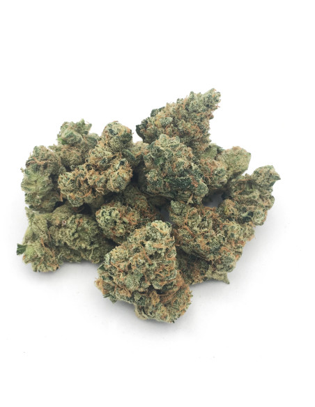 GrosBuzz.com | Blumen Amnesia Hydro Small Buds GBZ Stärke: ⭐⭐⭐
