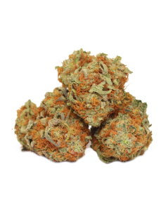 Premium Blumen Mango Kush 10-OH+