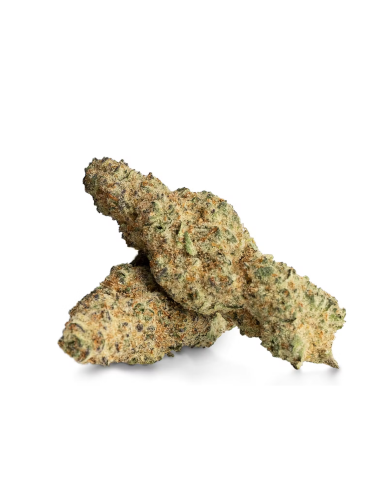 Premium Blumen OG Kush 10-OH+