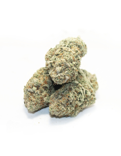10-OH-HHC Premium Fleur Mango Kush