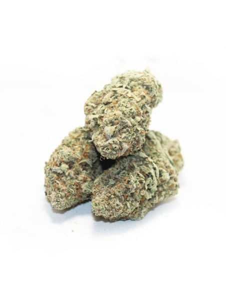 GrosBuzz.com | 10-OH-HHC Premium Blumen Mango Kush
