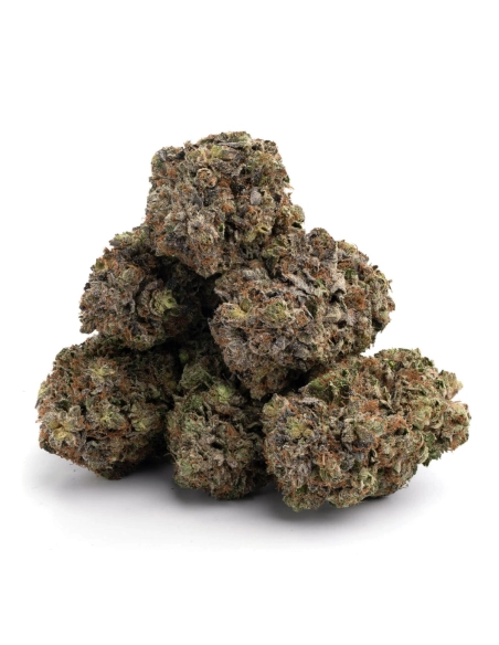 GrosBuzz.com | 10-OH-HHC Premium Blumen OG Kush
