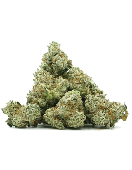 GrosBuzz.com | Flower Sugar Cream GBZ 45%