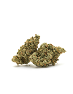 GrosBuzz.com | Premium Blumen OG Kush 10-OH-HHC