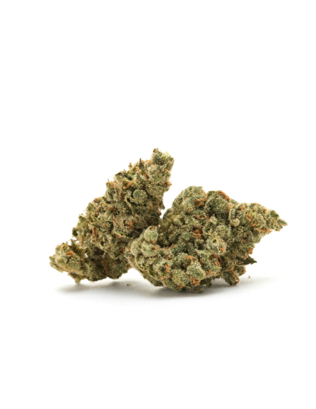 GrosBuzz.com | Blumen White Widow GBZ Stärke: ⭐⭐⭐⭐