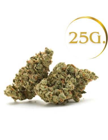 Blumen White Widow GBZ 40% - 25G Beutel