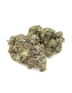 GrosBuzz.com | 10-OH-HHC Premium Harz Cherry Lemon