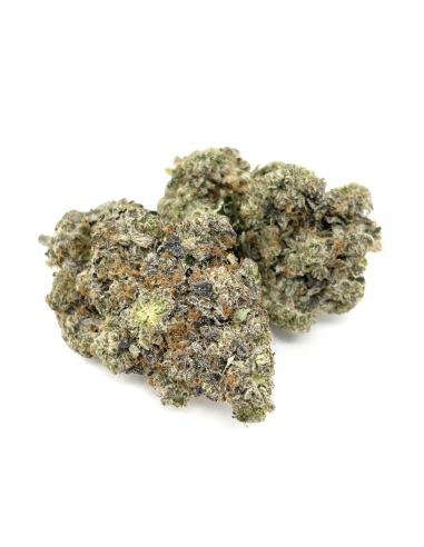 GrosBuzz.com | 10-OH-HHC Fleur Godfather OG