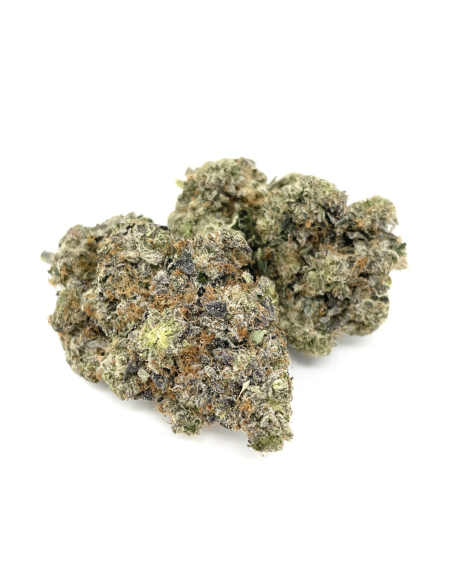 GrosBuzz.com | 10-OH-HHC Fleur Godfather OG
