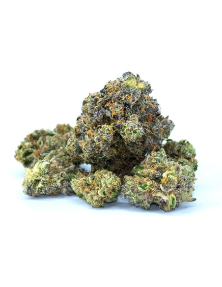 GrosBuzz.com | Blumen Skywalker OG GBZ+ Stärke: ⭐⭐⭐⭐⭐