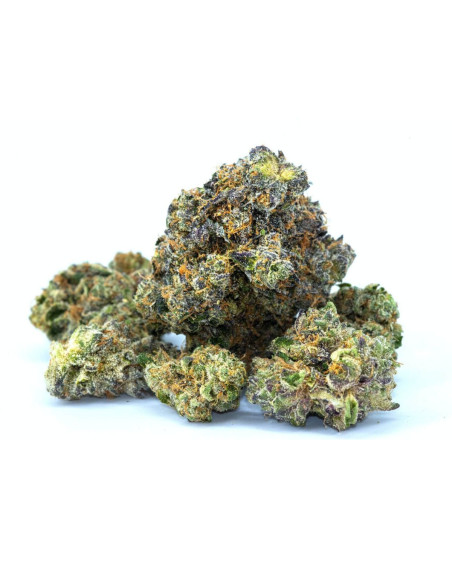 GrosBuzz.com | Flower Skywalker OG GBZ+ Power : ⭐⭐⭐⭐⭐