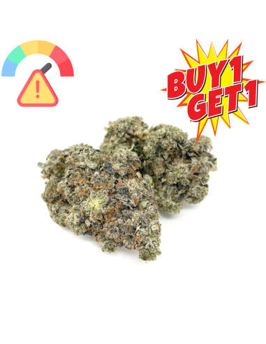 GrosBuzz.com | BUY 1 GET 1 - Blumen Godfather OG 10-OH-HHC