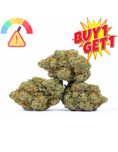 GrosBuzz.com | BUY 1 GET 1 - Blumen Walter White GBZ 45%