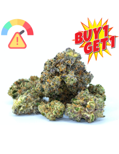  GBZ  Blumen | GrosBuzz.com