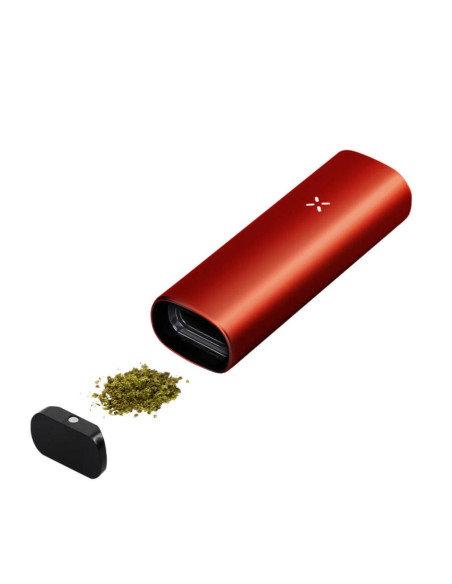 GrosBuzz.com | Vaporisateur PAX Mini Polly pour herbes