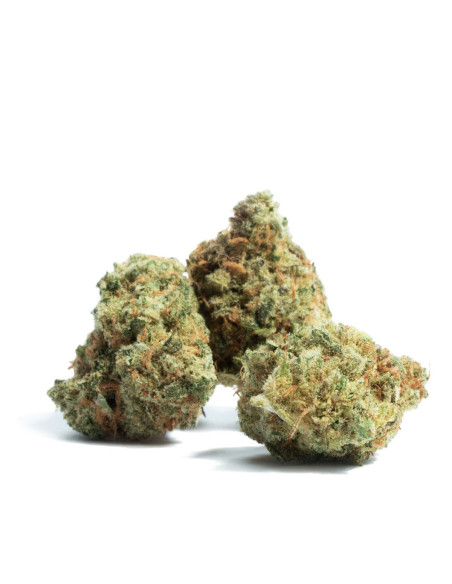 GrosBuzz.com | Premium Pack GBZ / 10-OH - Herbes & Résines
