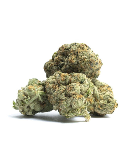 GrosBuzz.com | Premium Pack GBZ / 10-OH - Herbes & Résines