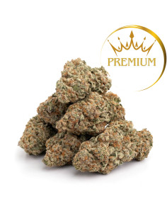  10-OH-HHC Flowers | GrosBuzz.com