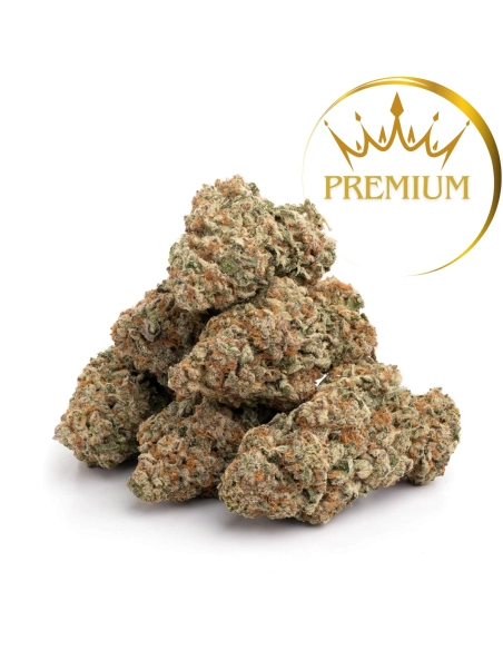 GrosBuzz.com | 10-OH-HHC Fleur Premium Amnesia Hydro