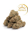 10-OH-HHC Fleur Premium Amnesia Hydro