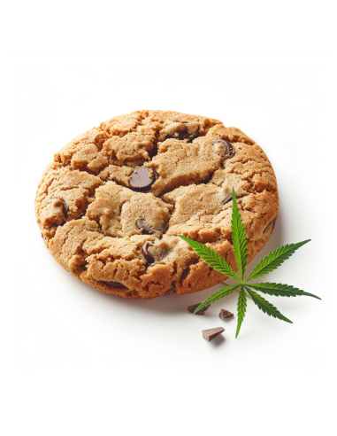 GrosBuzz.com | Space Cake Cookies Delta-9 THC 50mg