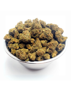 GrosBuzz.com | Space Cake Cookies Delta-9 THC 750mg