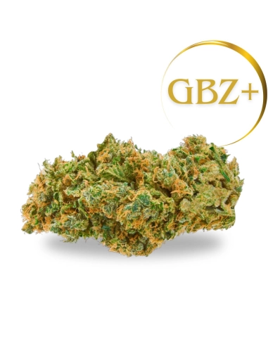 GrosBuzz.com | GIFT: Fleur Limoncello 𝗚𝗕𝗭+ Puissance: 🌟🌟🌟🌟🌟