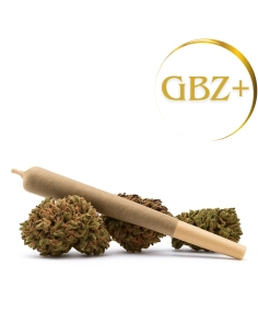 Pre-Roll Limoncello GBZ+ 100% Pur